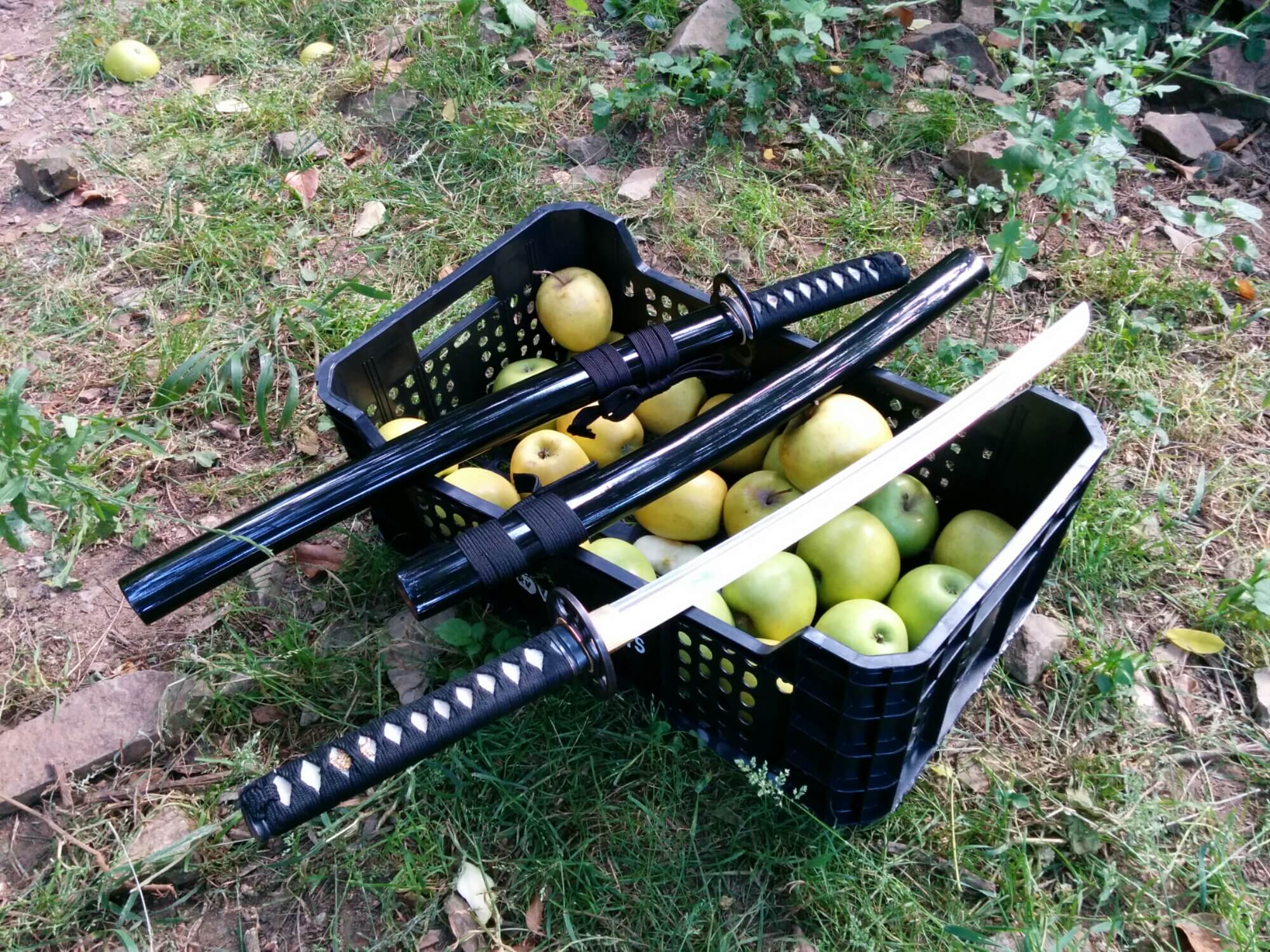 wpid-wp-1433871271952
