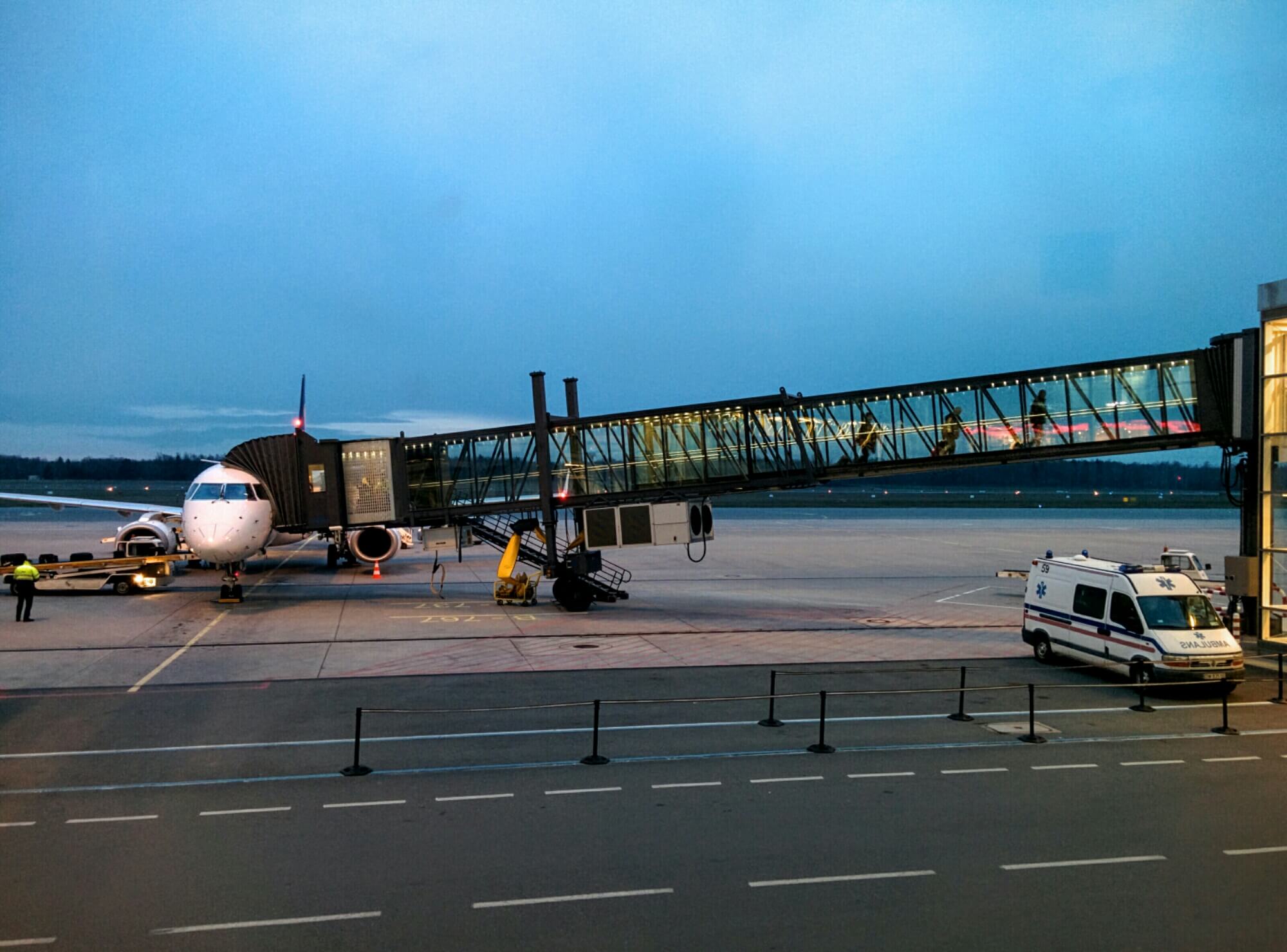 wp-1449846252006
