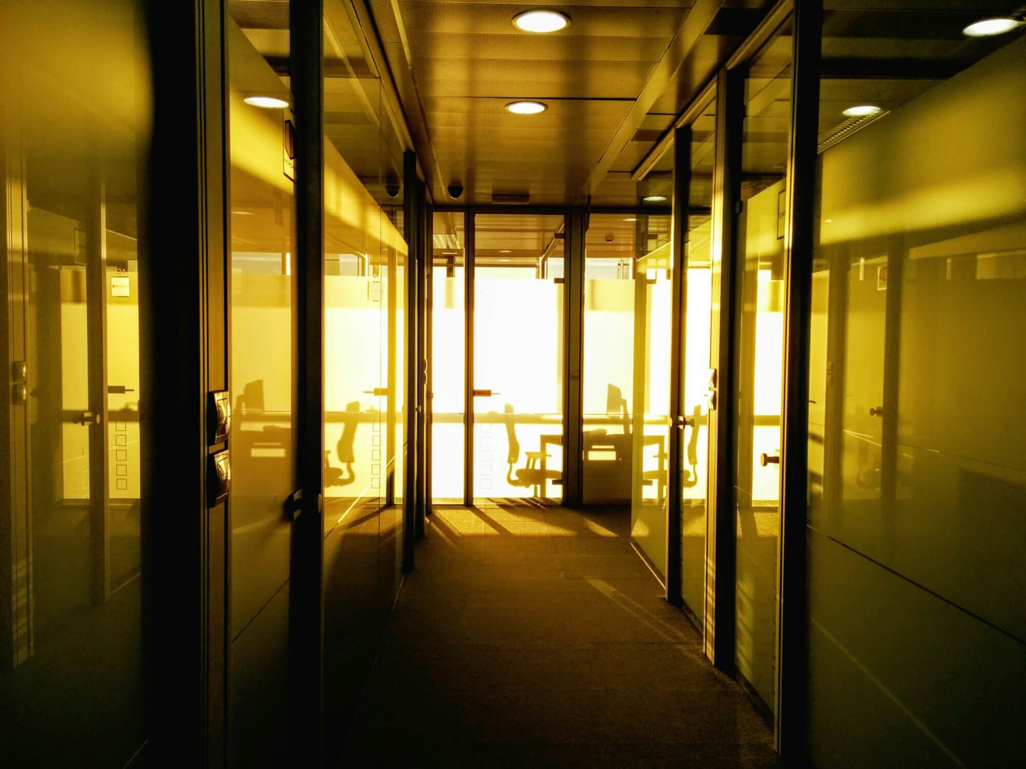 wp-1453273776666