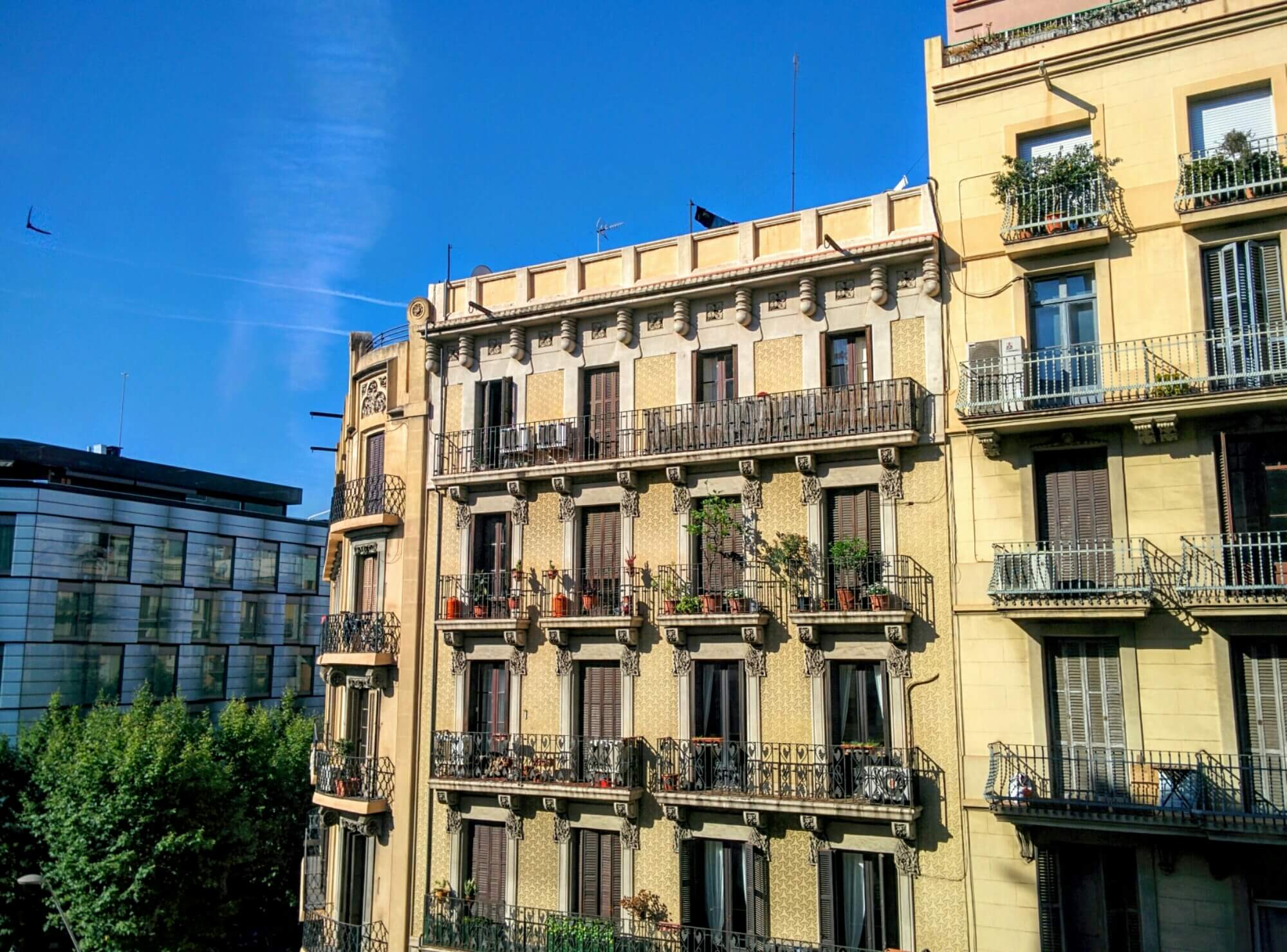 wp-1465459303624